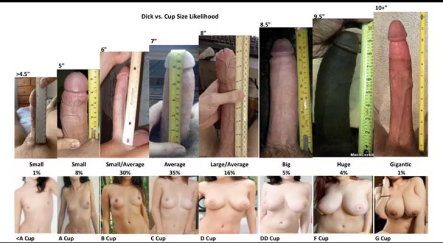 Found this interesting size comparison. What size would you be?