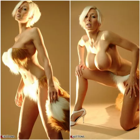 Fox Cosplay On/Off by Marie Claude Bourbonnais