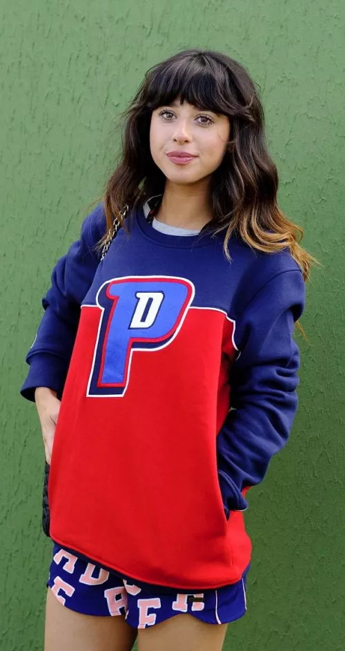 Foxes (Louisa Rose Allen)