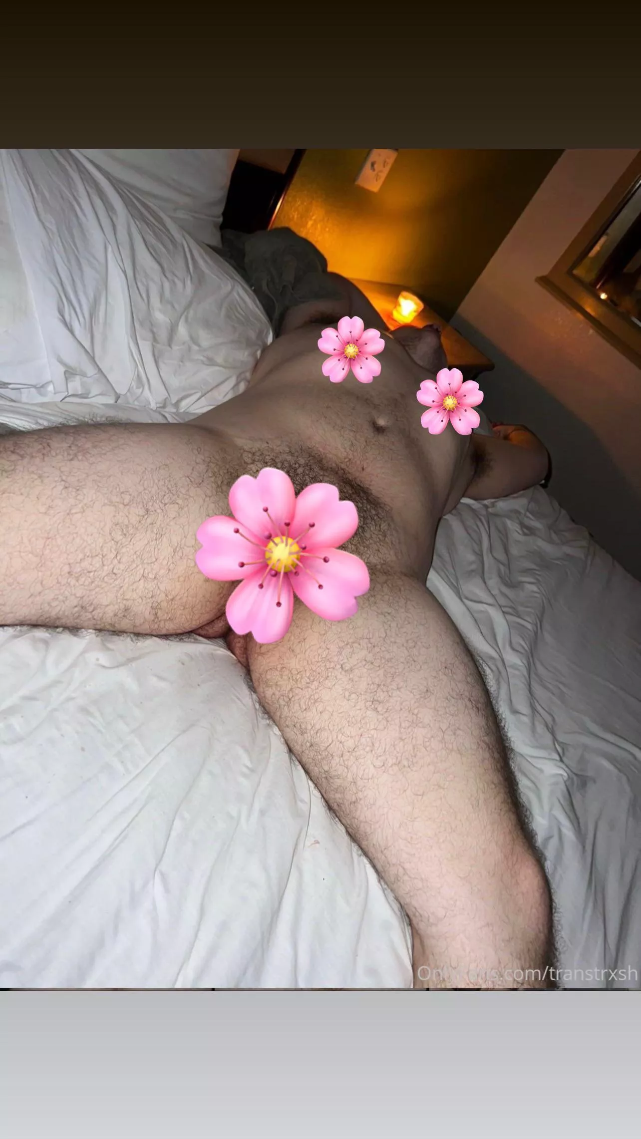 Free uncensored on Of, message me for link Transman 21 preop 😘