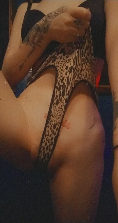 Fresh in the community looking for ATTENTION!