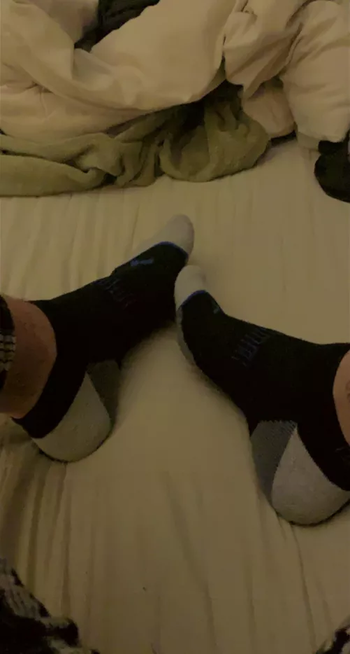 freshπ