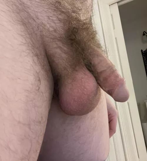 Fresh out of a midday shower. Merry Christmas y’all!