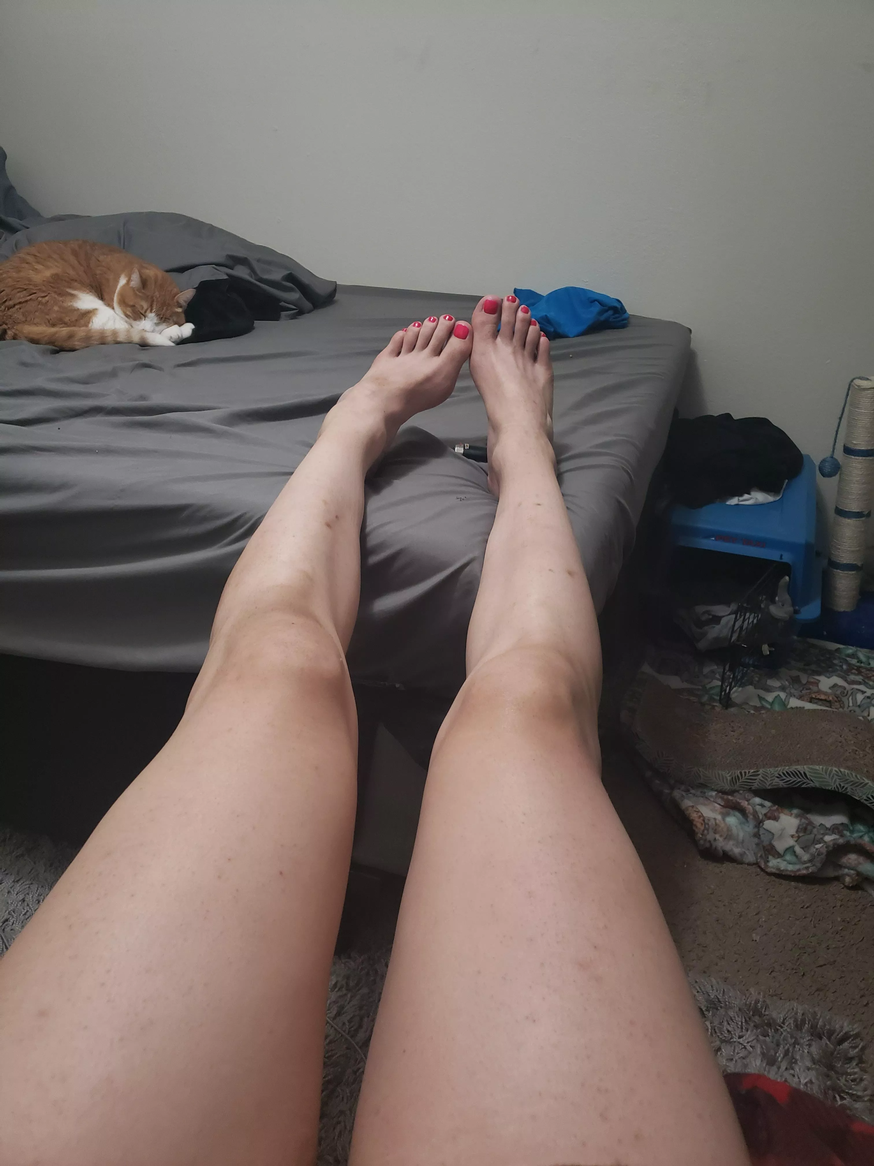 Freshly pedicured size 12s Freshly pedicured size 12s