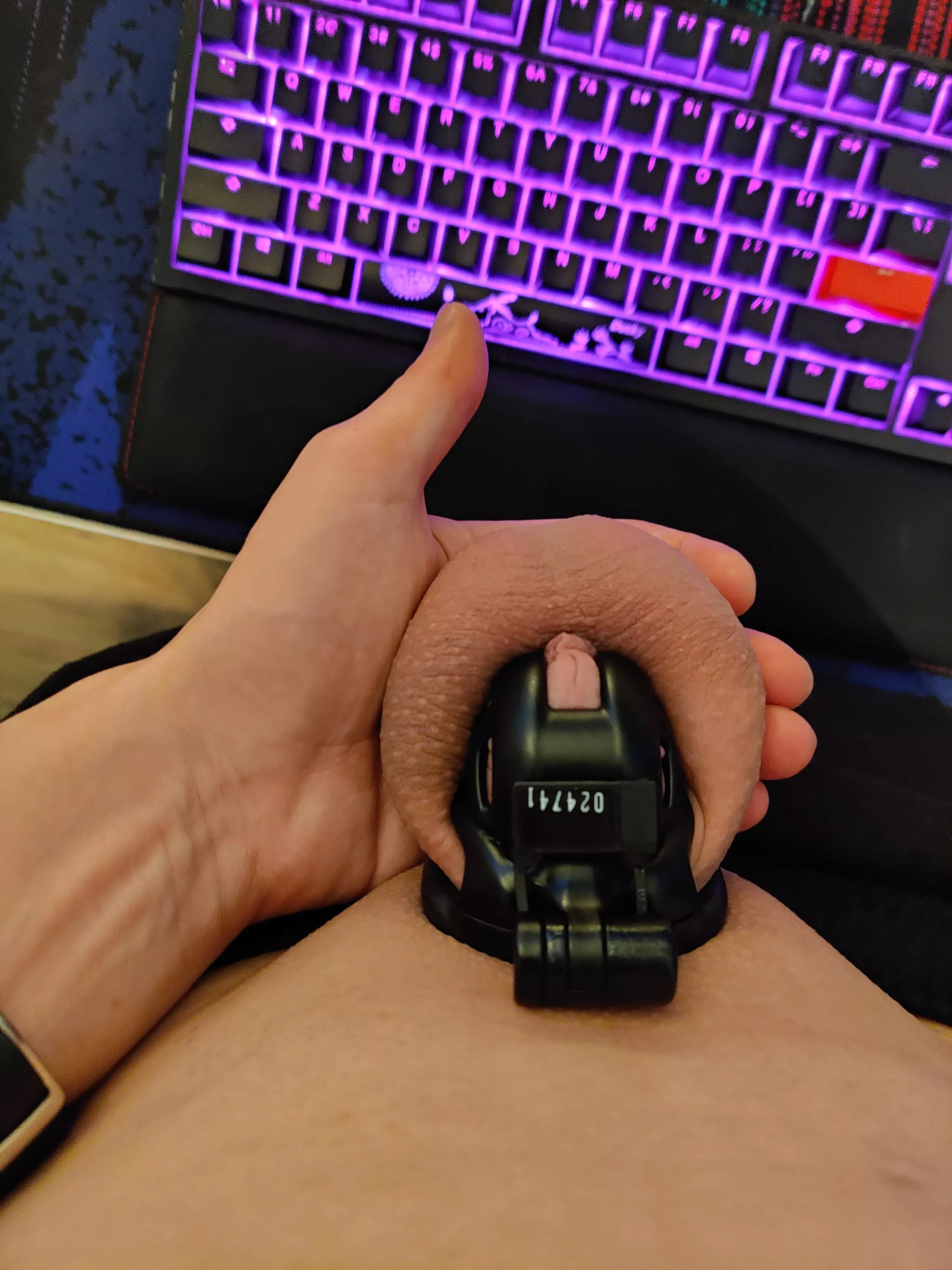 Freshly shaved, decided to use the airlock for this week 😊