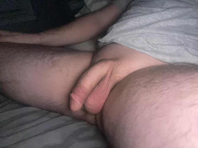 Freshly shaved softie