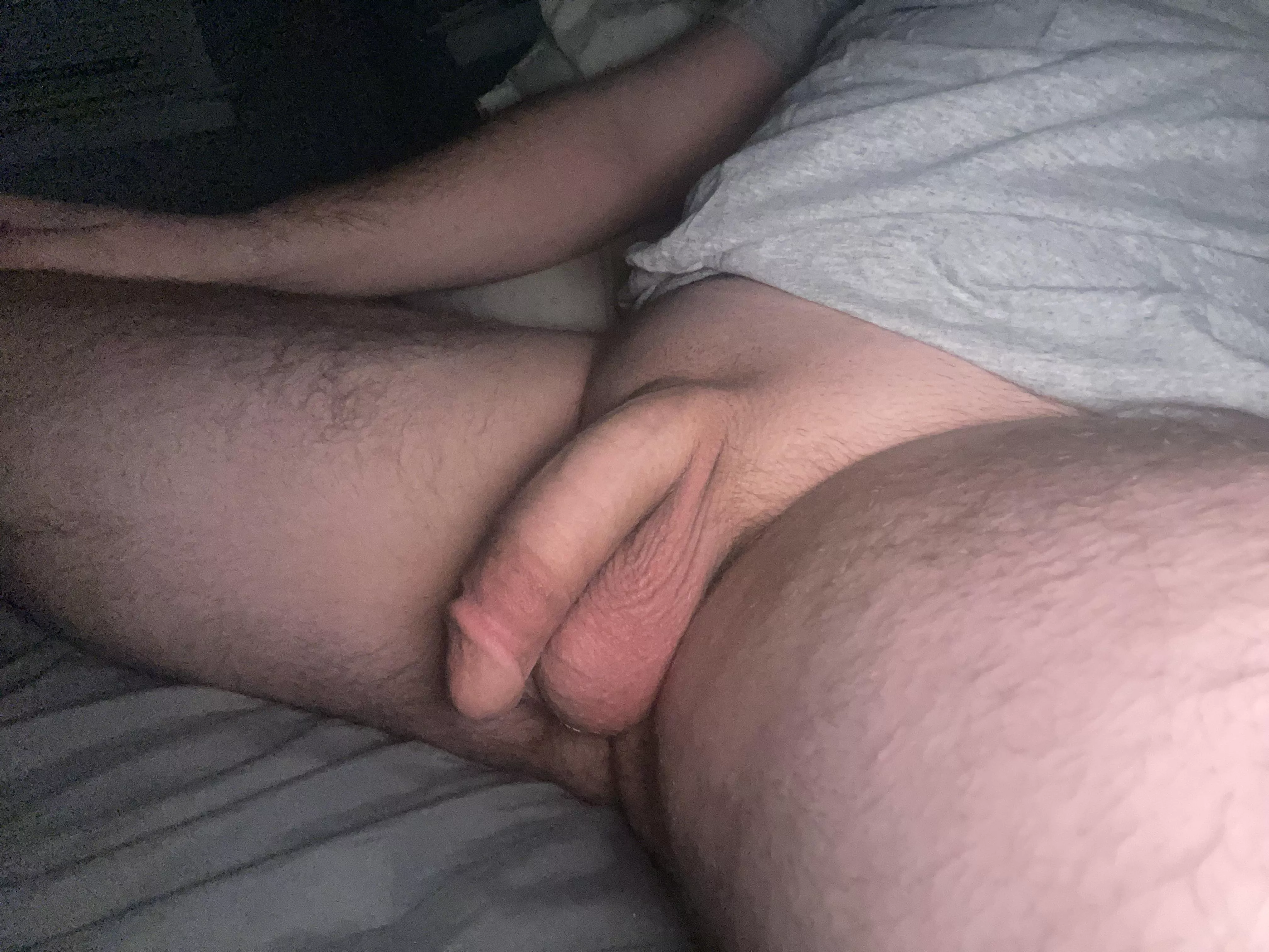 Freshly shaved softie