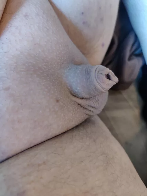 Freshly shaved. What so you think? DMs and Chat welcome. (35)