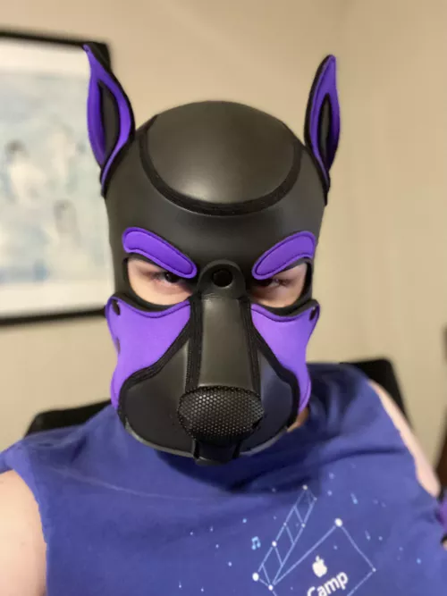 Frisky pup says, “woof!”