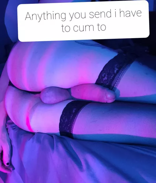 From fellow sexy tgirls please