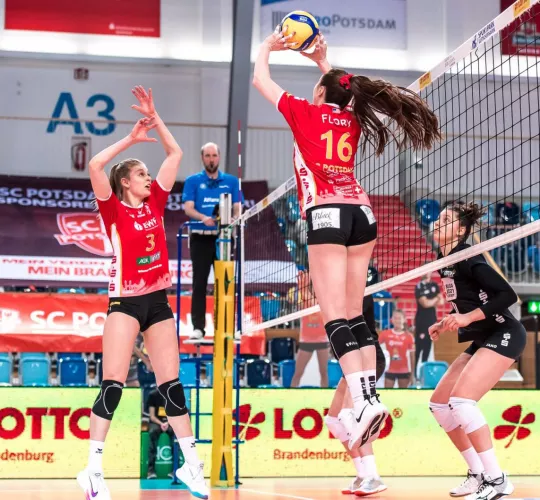 front and rear views