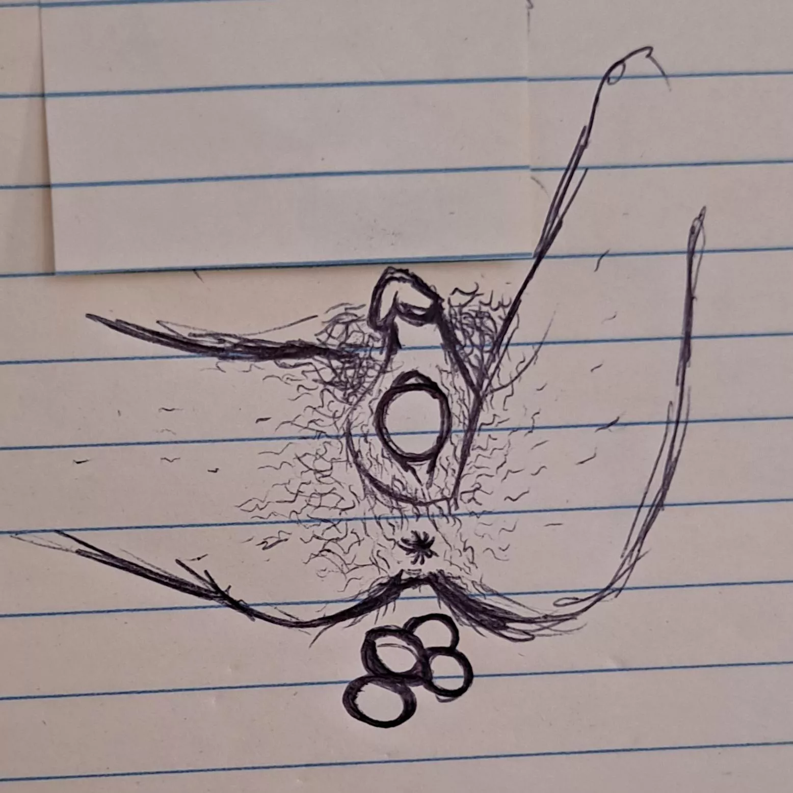 [FTM] Self portrait of egg laying