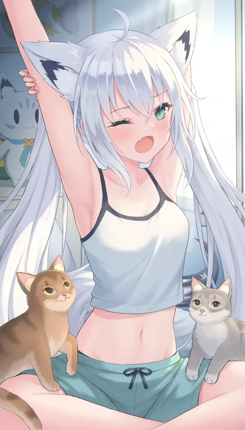 Fubuki armpit [Hololive]