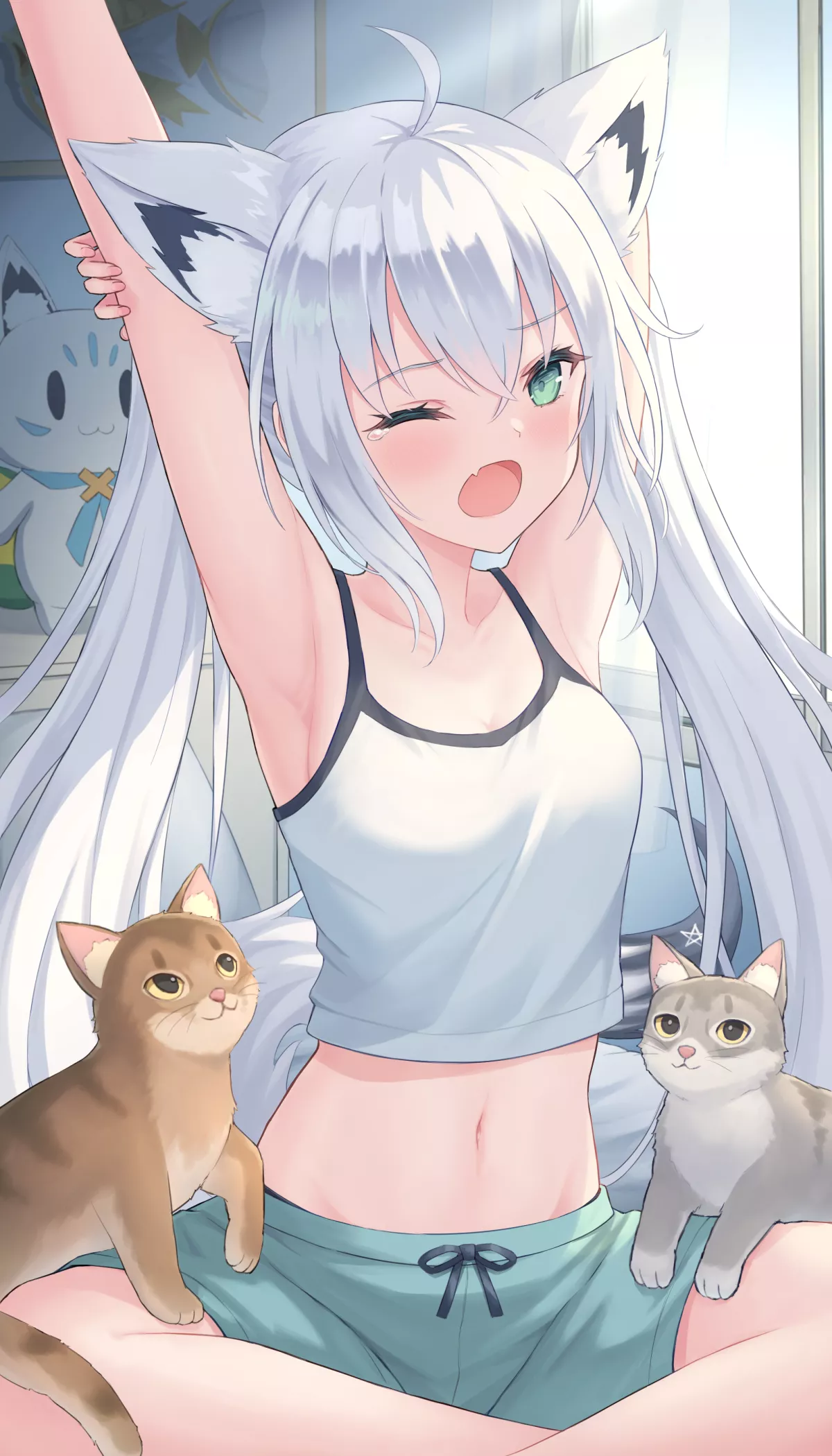 Fubuki armpit [Hololive]