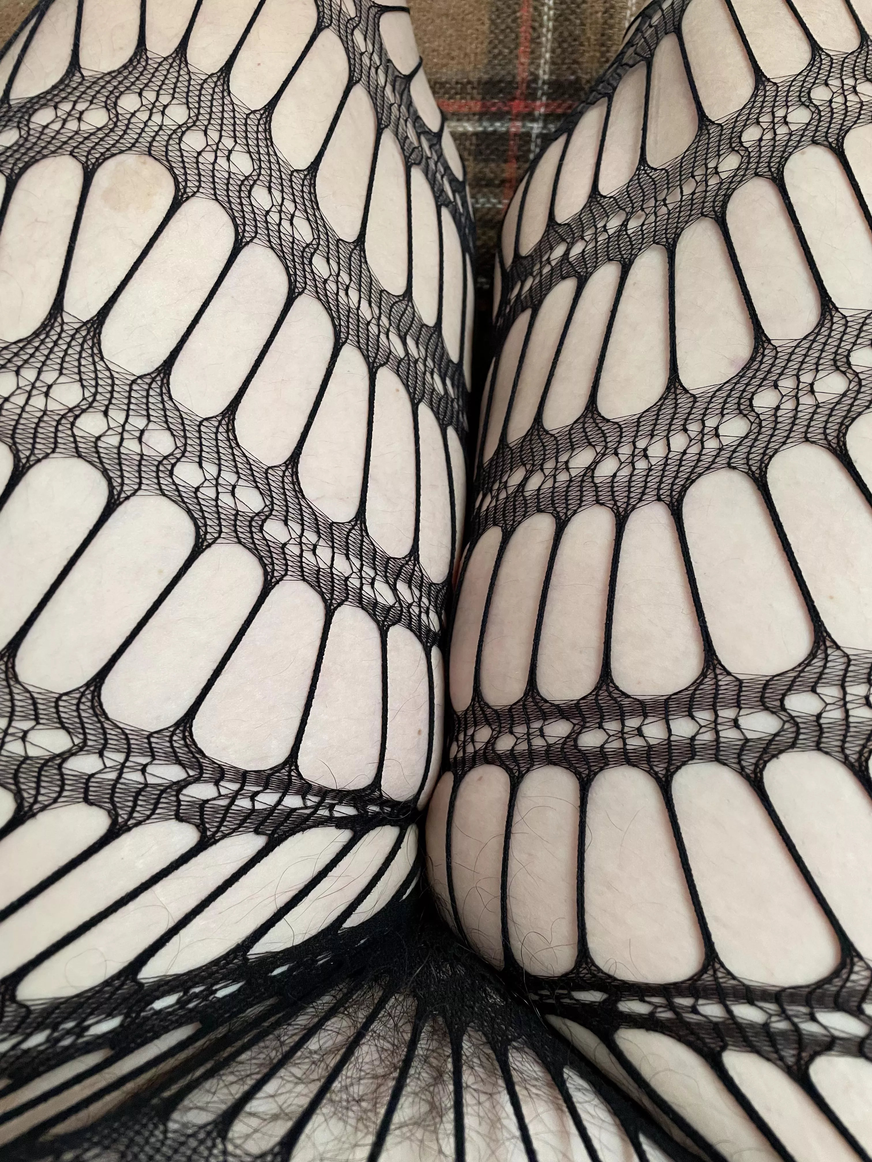 Full bush in Crotchless fishnets anyone?