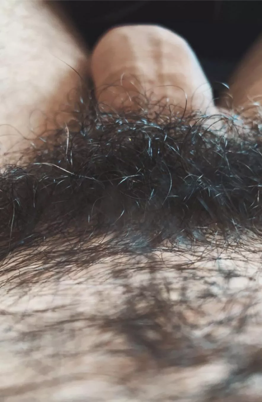 Full bush with a few stray greys...