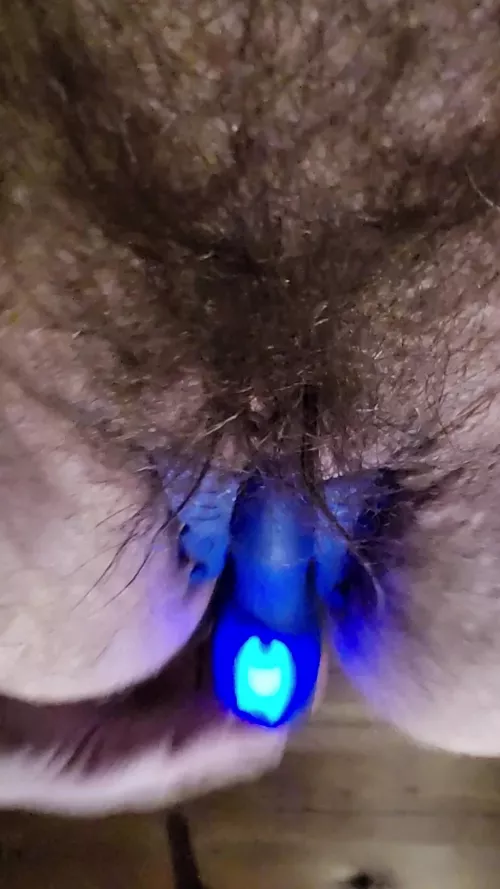 fun with toys last night videos coming soon