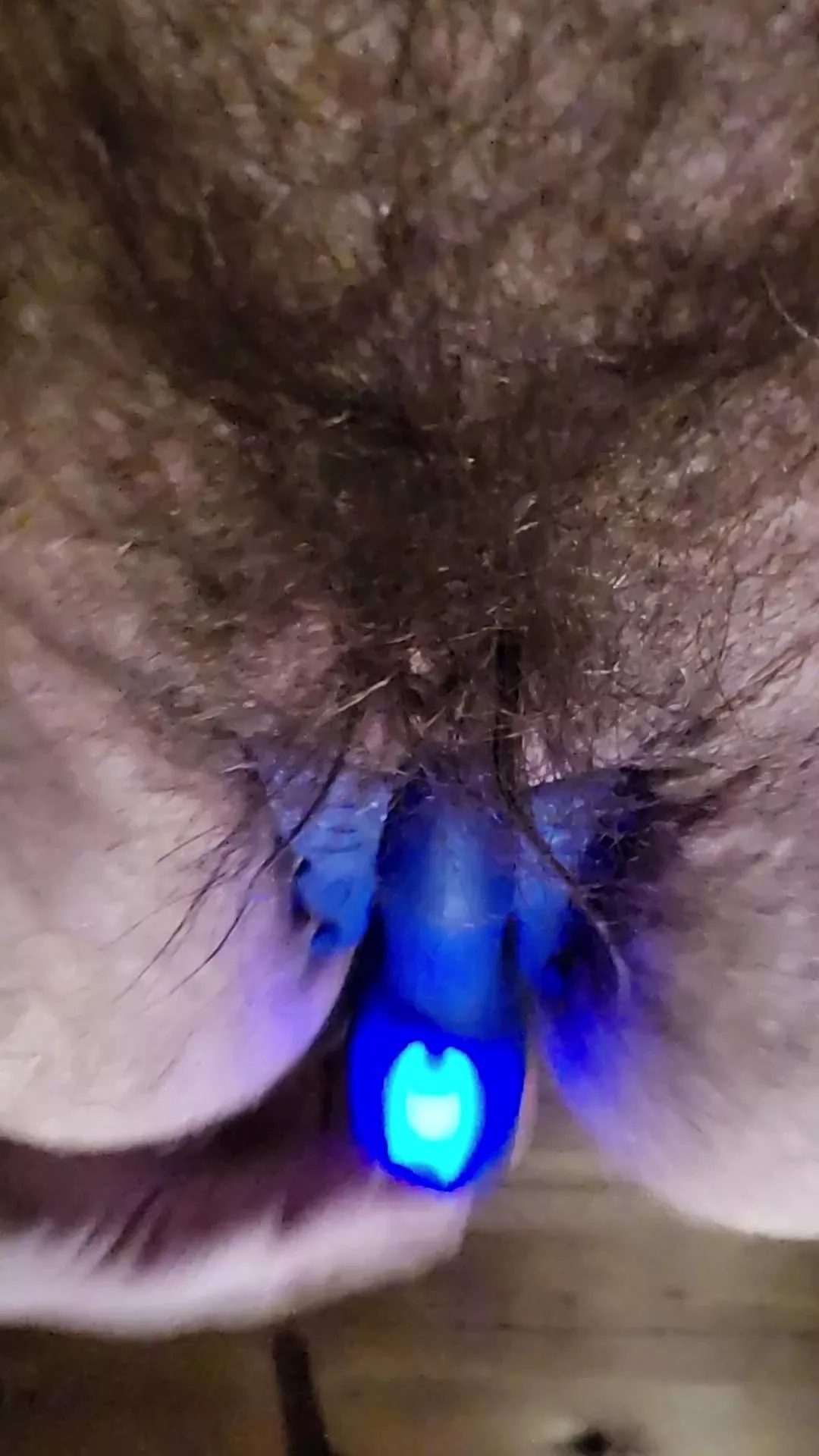 fun with toys last night videos coming soon