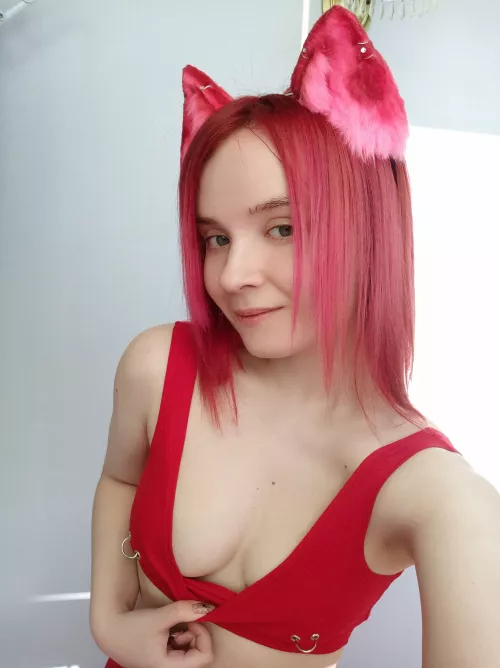Funny kitty wants to play š