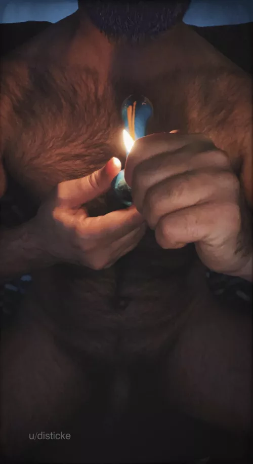 Furry 420 [Hybrid, Shiatsu Kush]