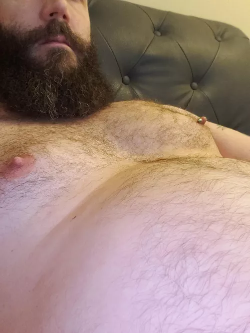 Fuzzy, cuddly Daddy bear