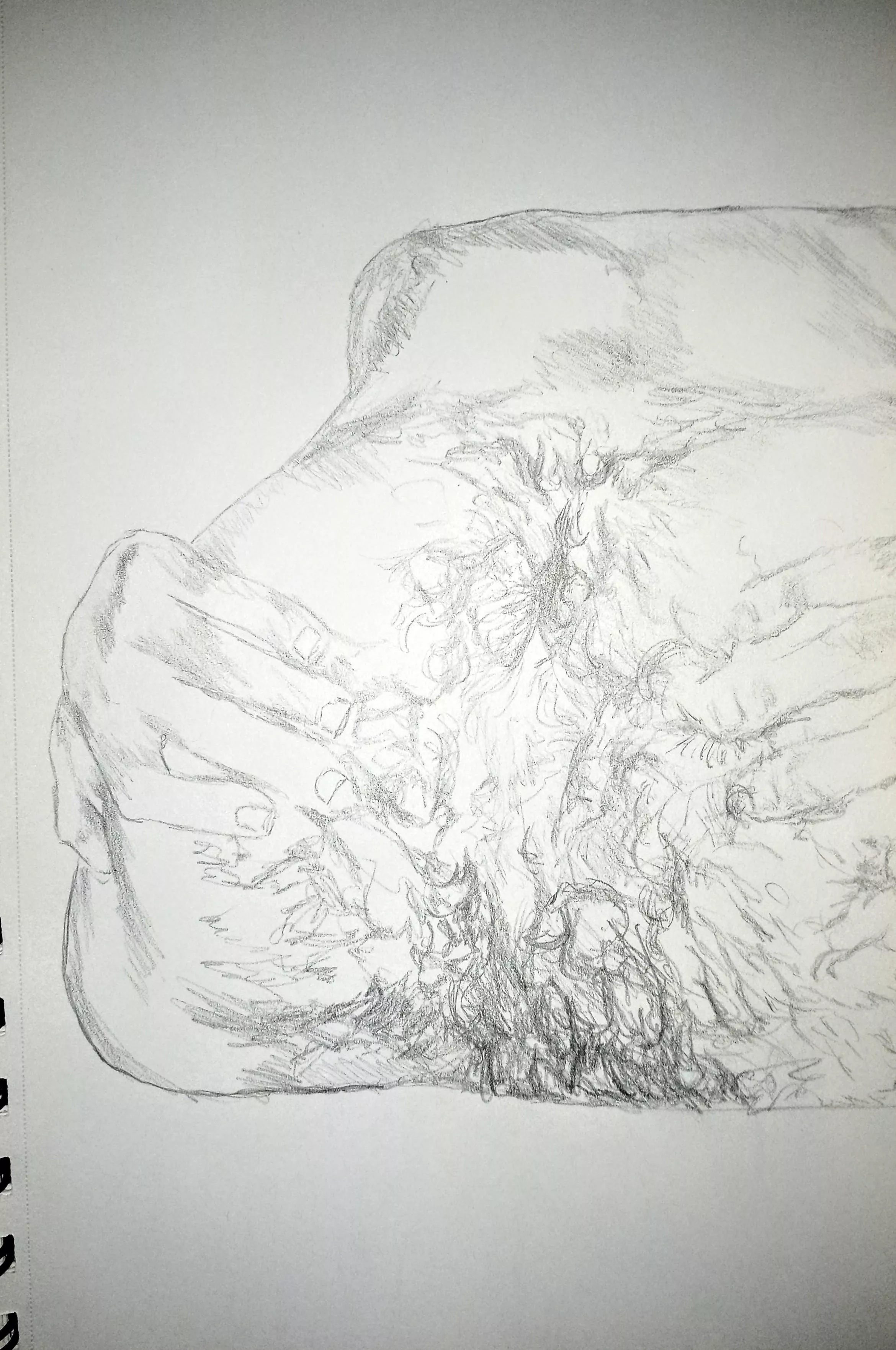 Fuzzy Man Spread (oc)[LuckyDominik]