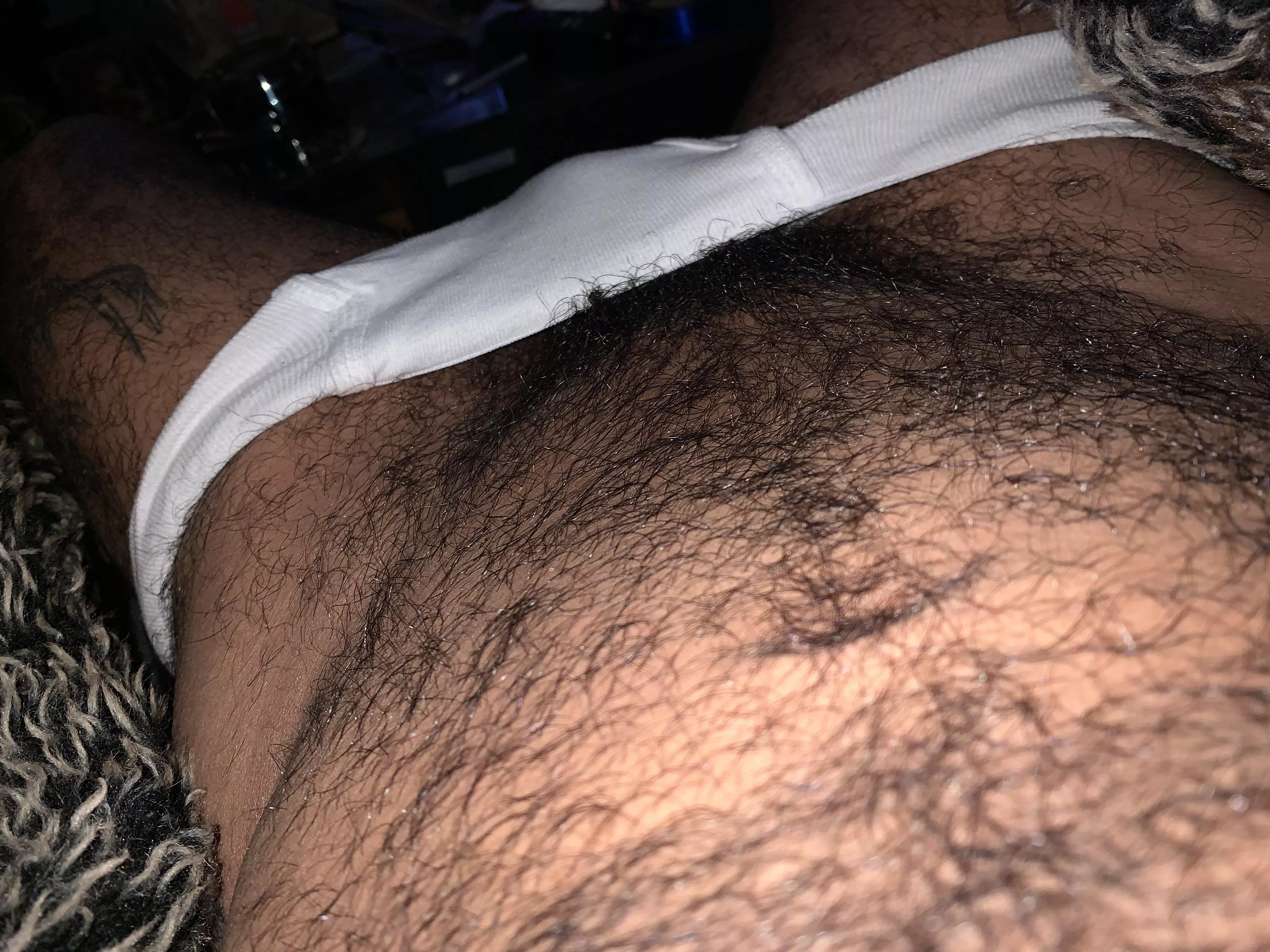 Gave the bush a light trim