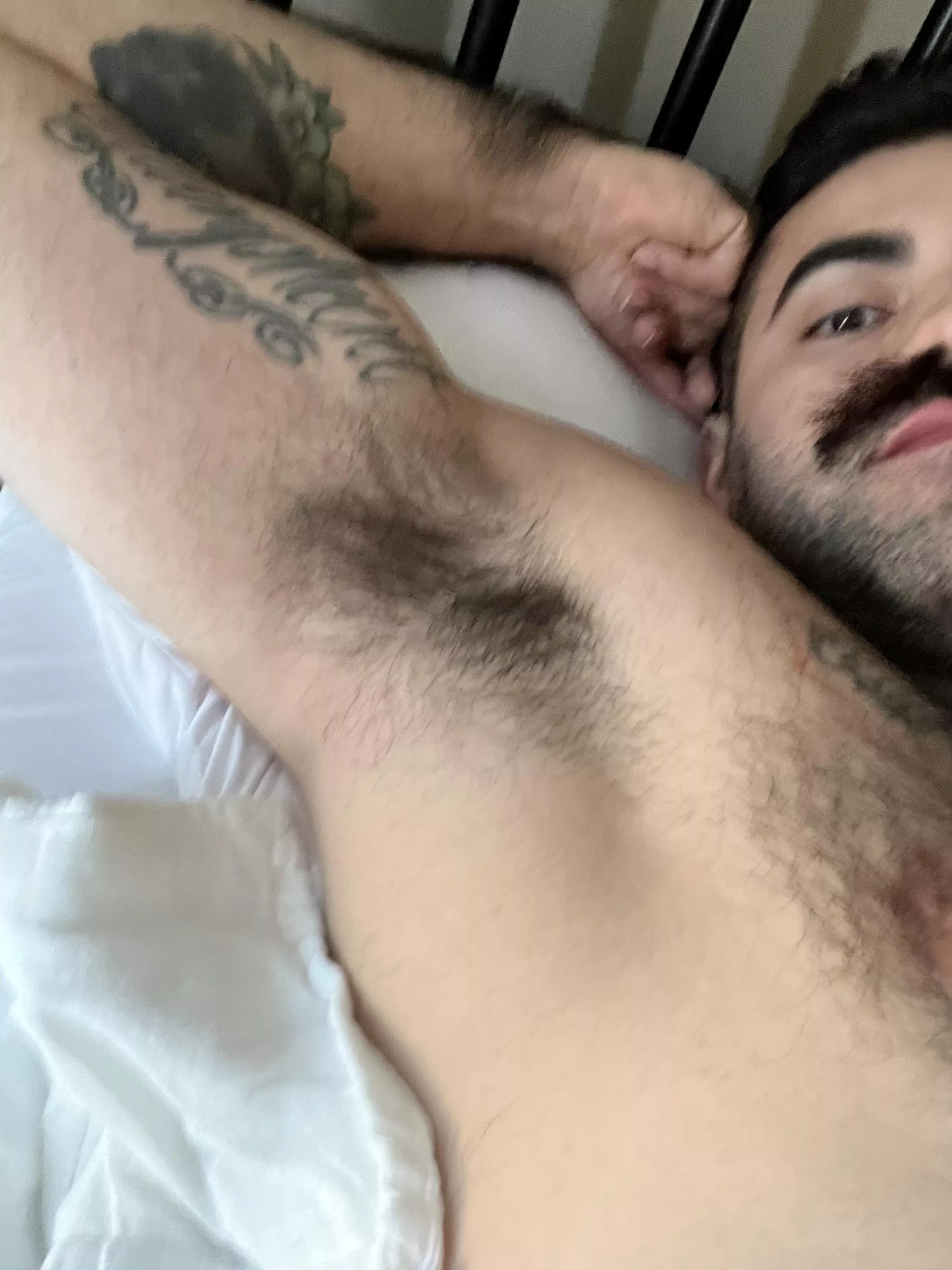 Get your face in there boy