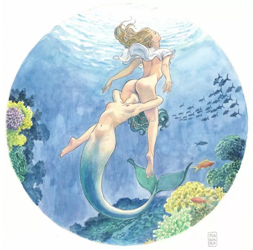 Getting eaten by mermaid (milo manara)