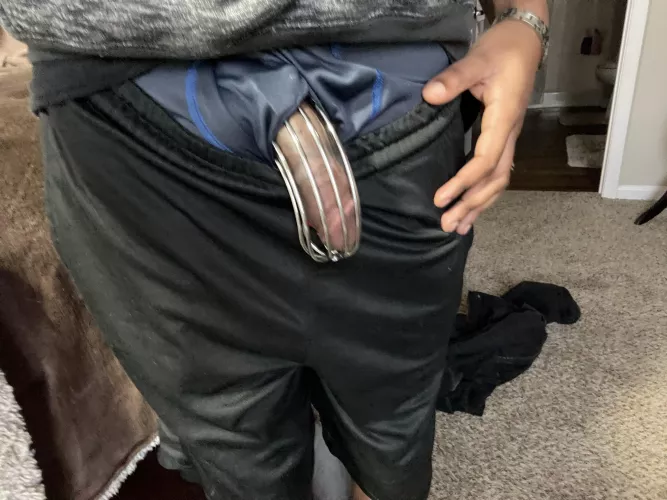Getting hard in my cage after 4 months of teasing and no release