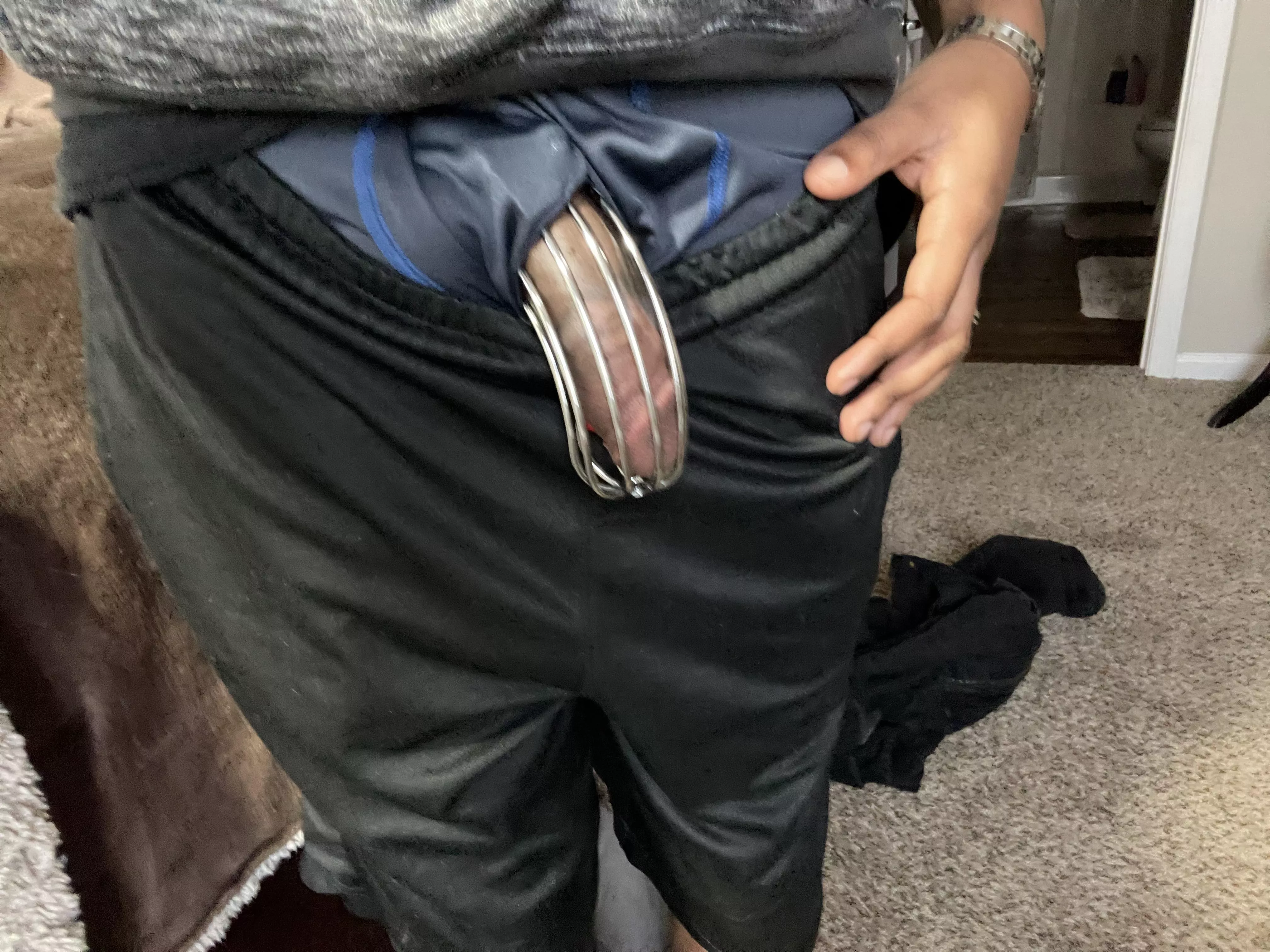 Getting hard in my cage after 4 months of teasing and no release