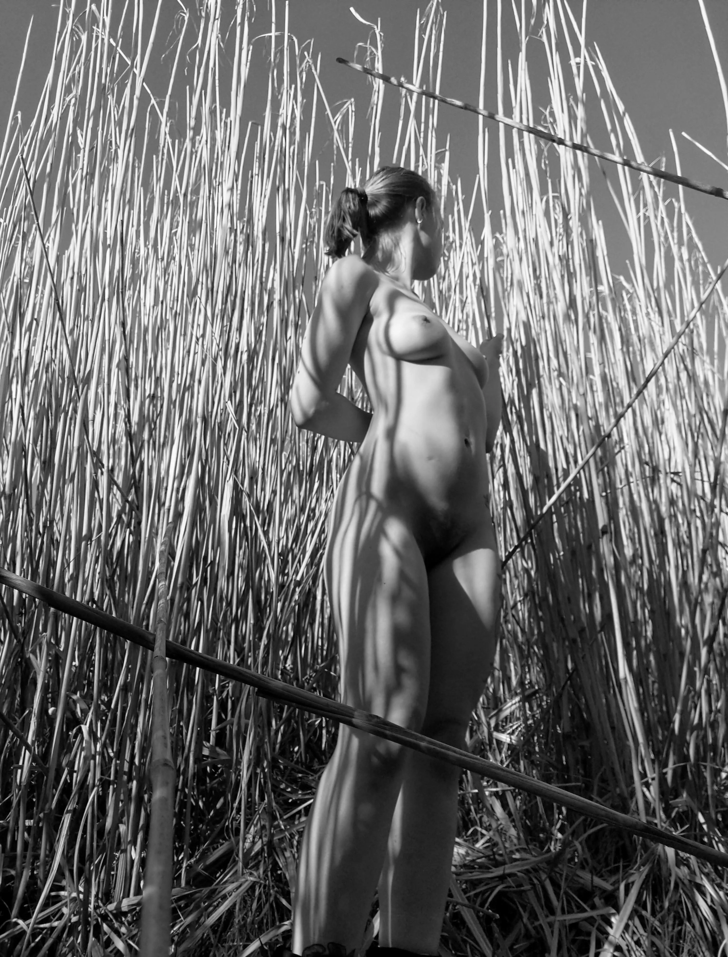 Getting lost in the high-grass fields