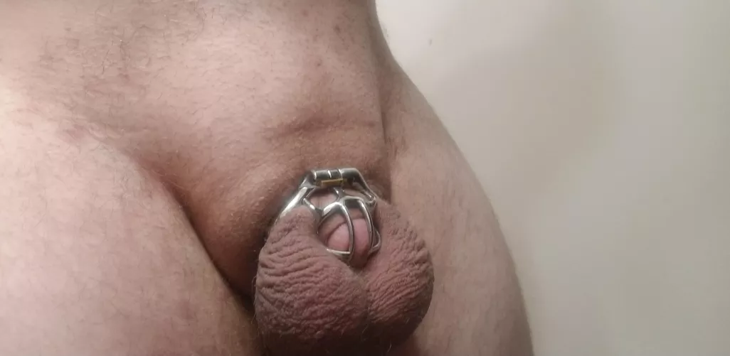 Getting nice and full