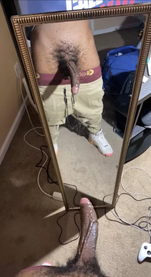 Gimme head gimme head