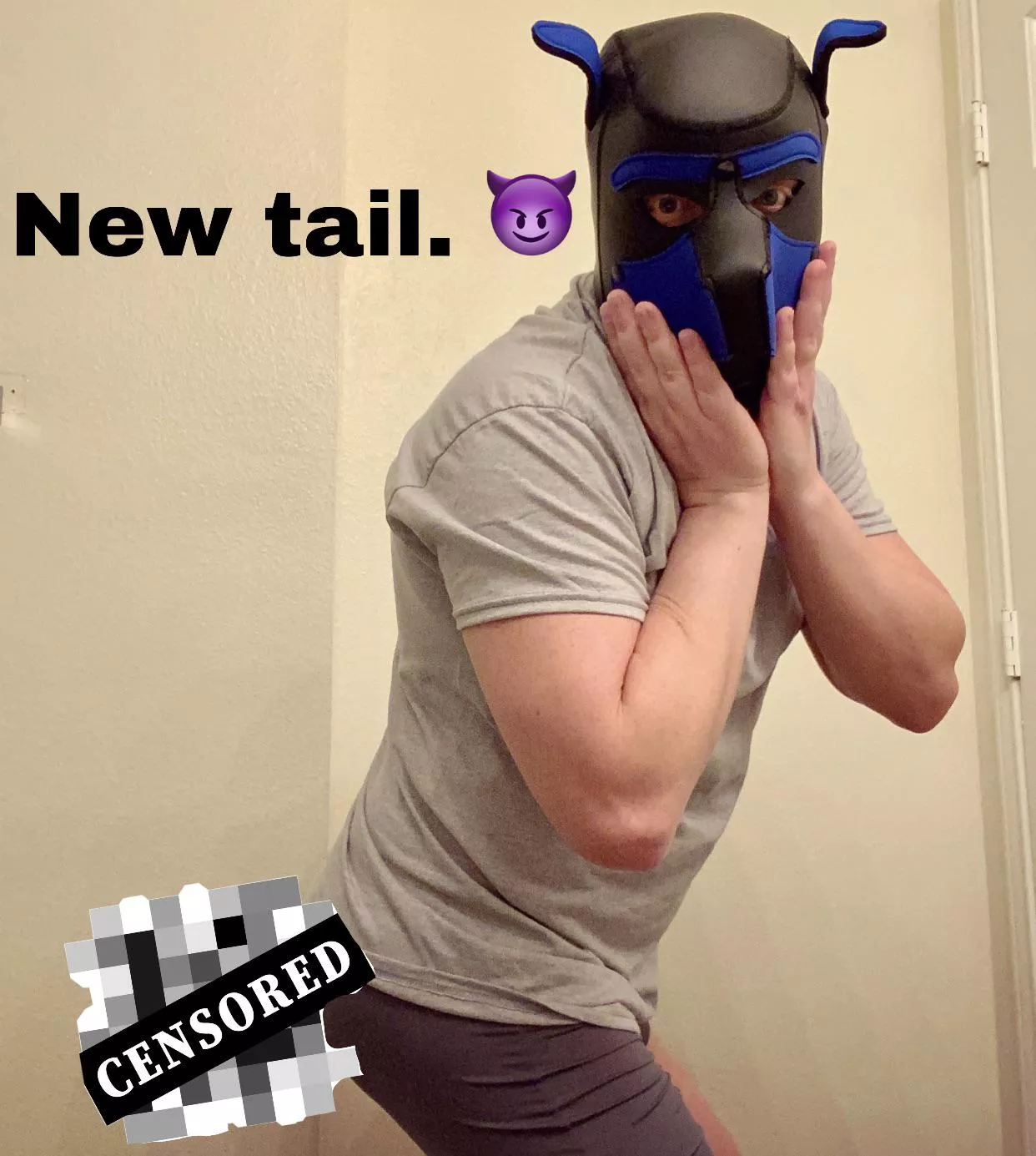 Ginger Pup Orion is ready to play!