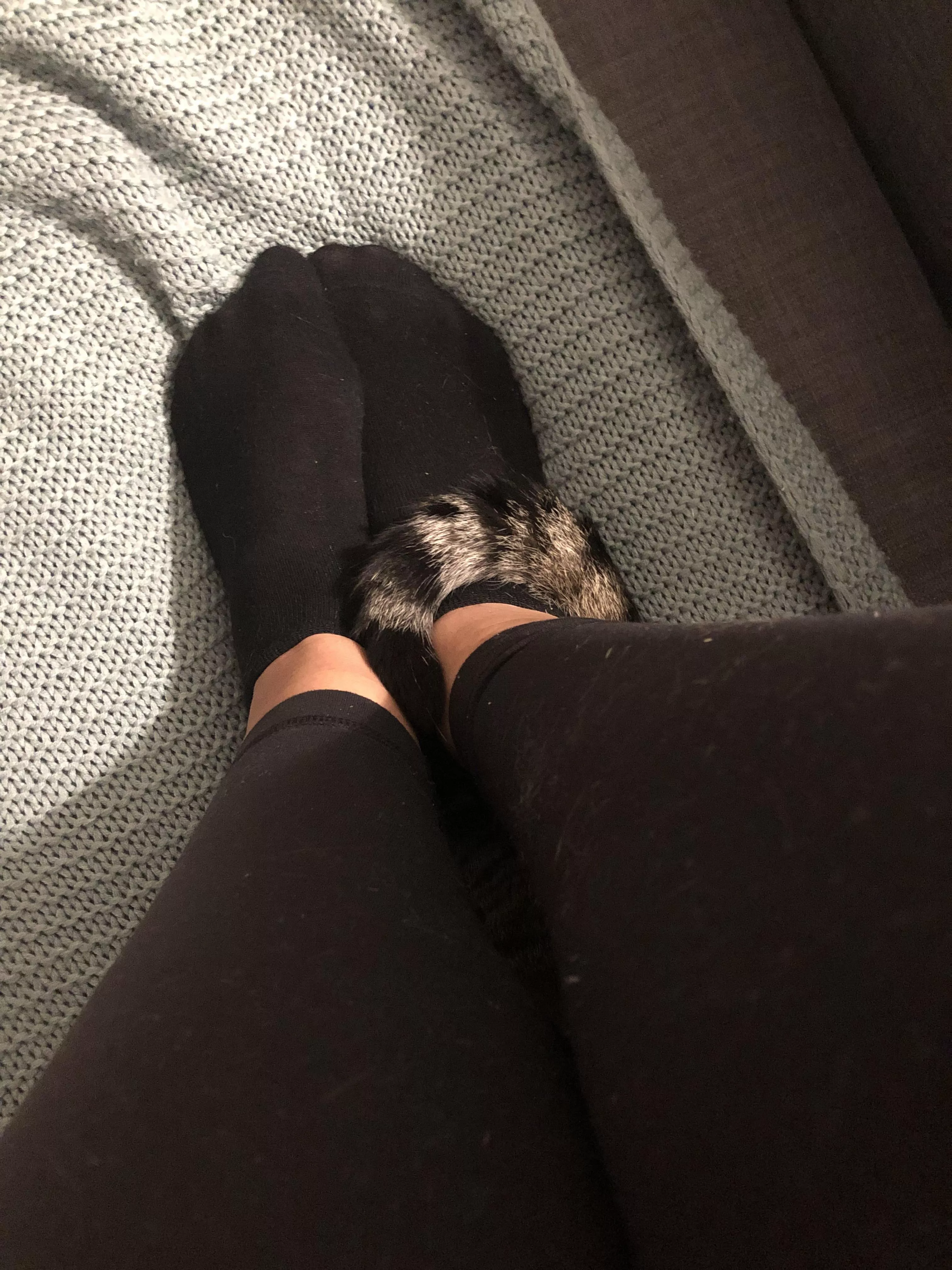Girlfriend wanted to know what you think of her socks🖤