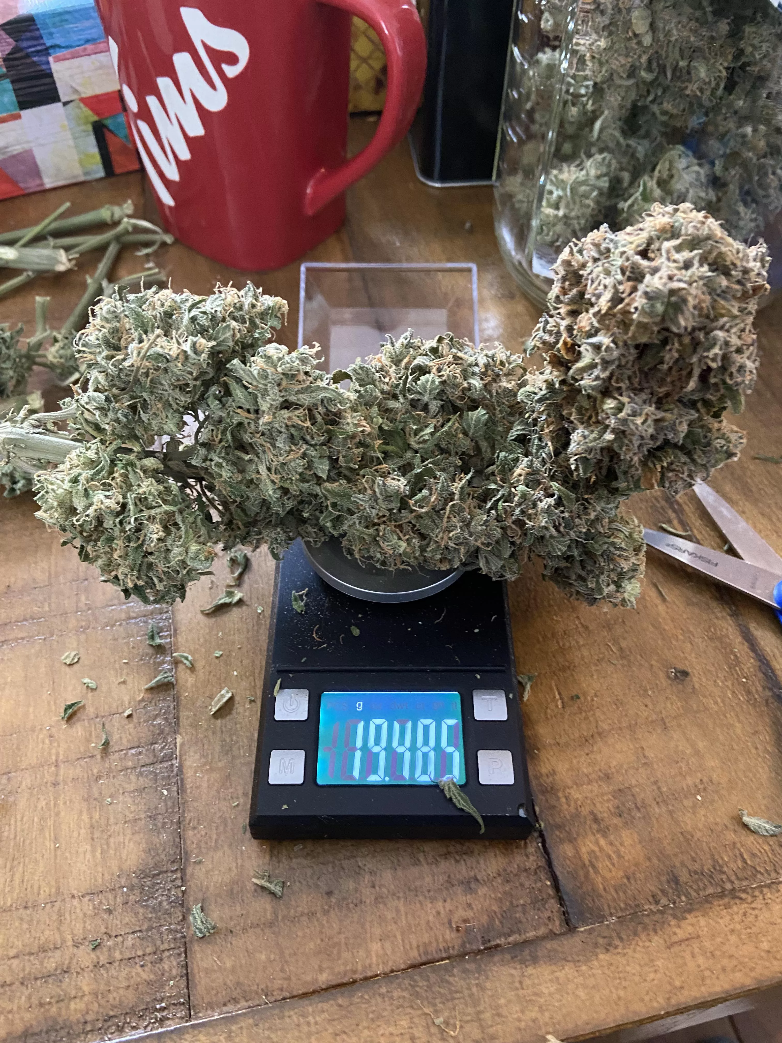 Girthy buds, she’s (f) but makes (M)e excited!