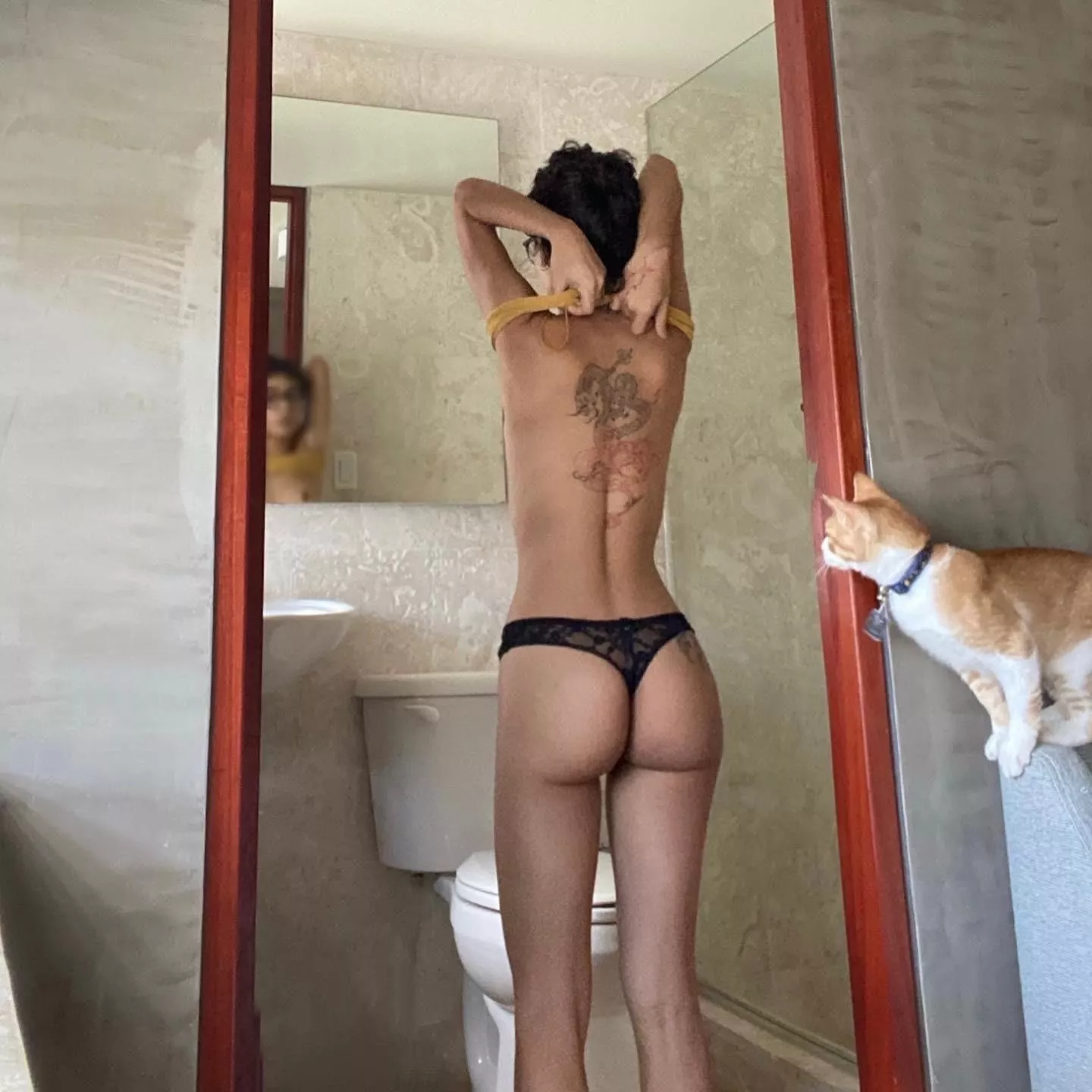 Give it a title 🤪