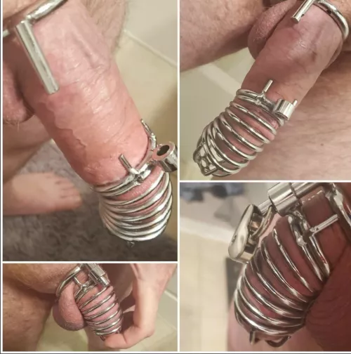 Go away cock!