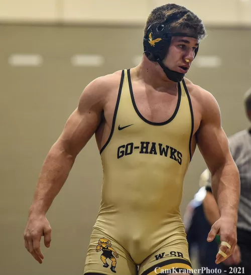 “Go - Hawkes” …