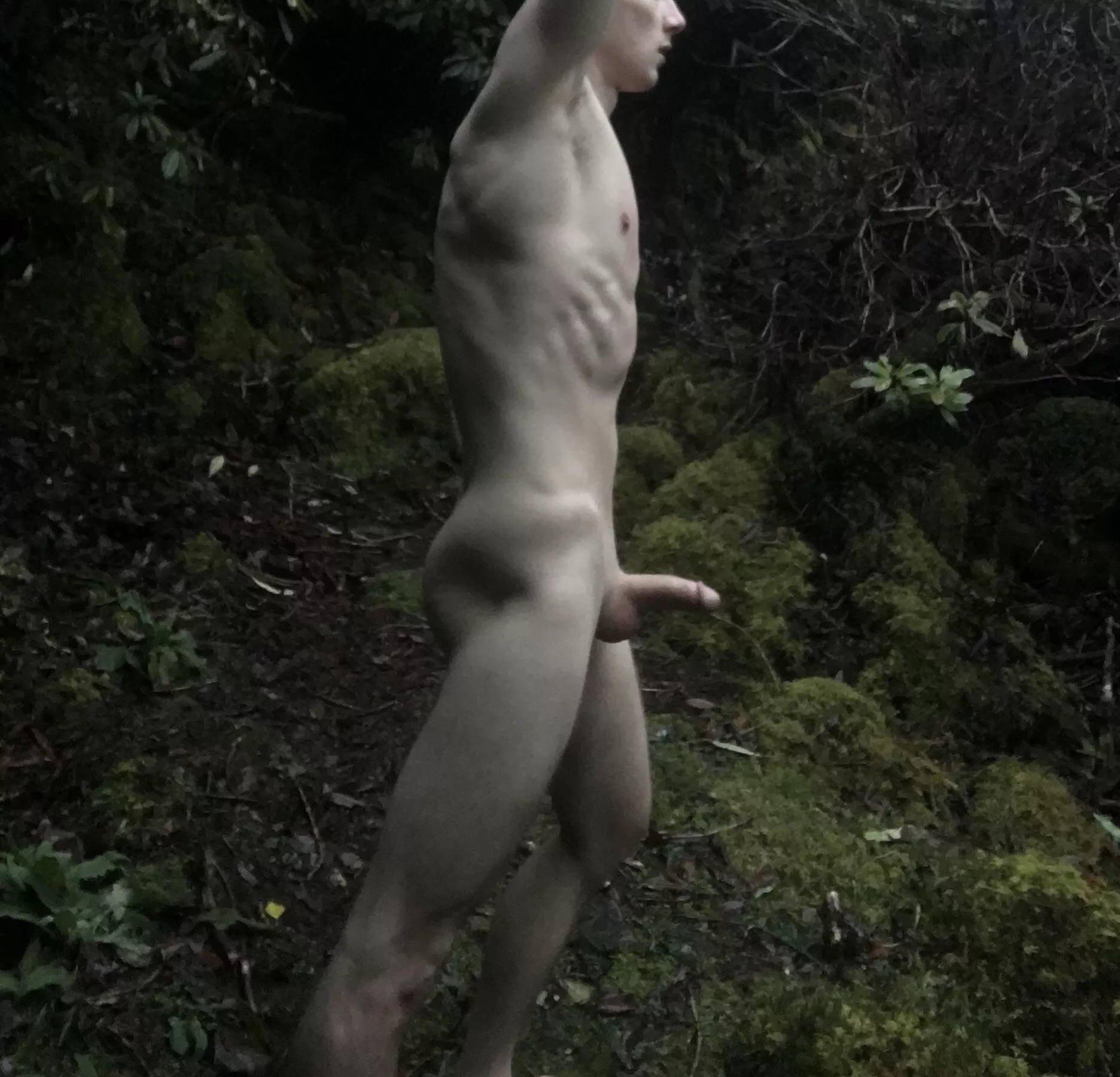 Gone wild in the wild :D