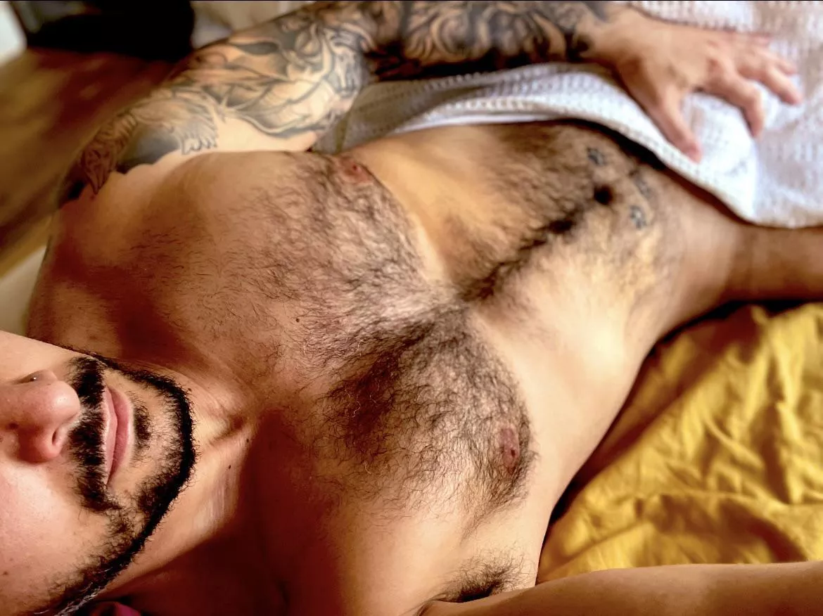 Good afternoon, care to cuddle? ☀️