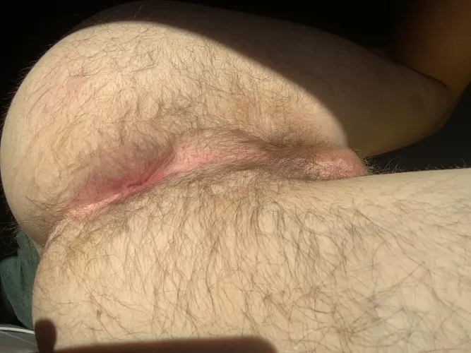 Good afternoon. Here’s my hairy asshole