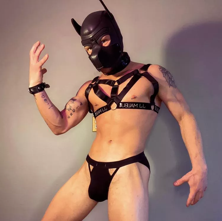 Good boys get all the praise, but what about bad boys? ;)