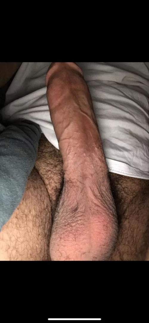Good morning everyone (M)