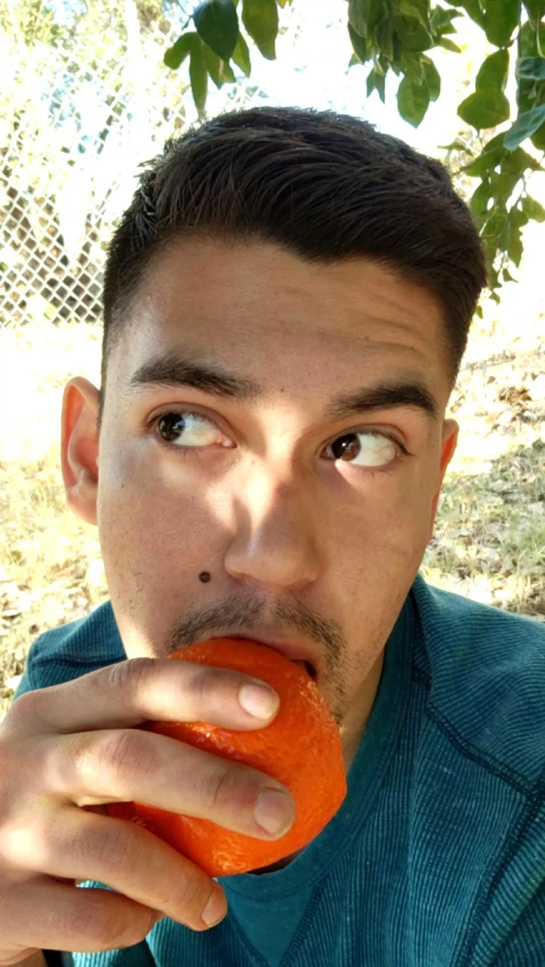 Good morning from Arizona :)