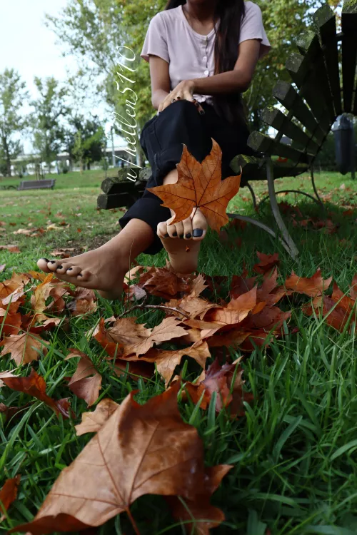 Good morning 🍁