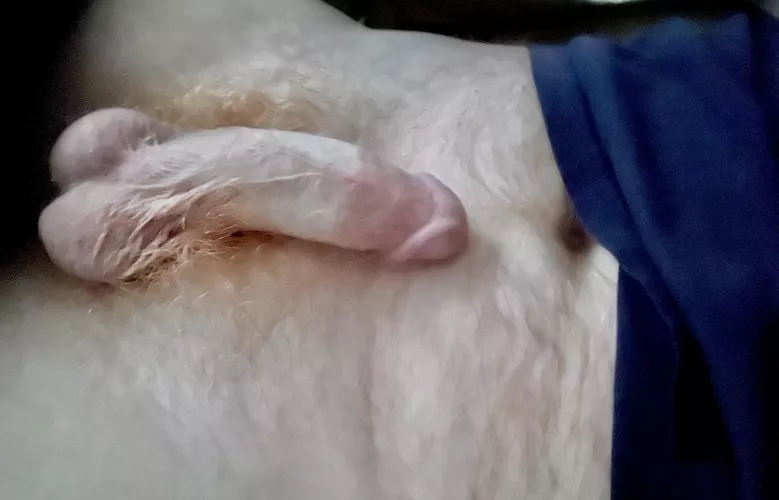 Good morning, still in bed.