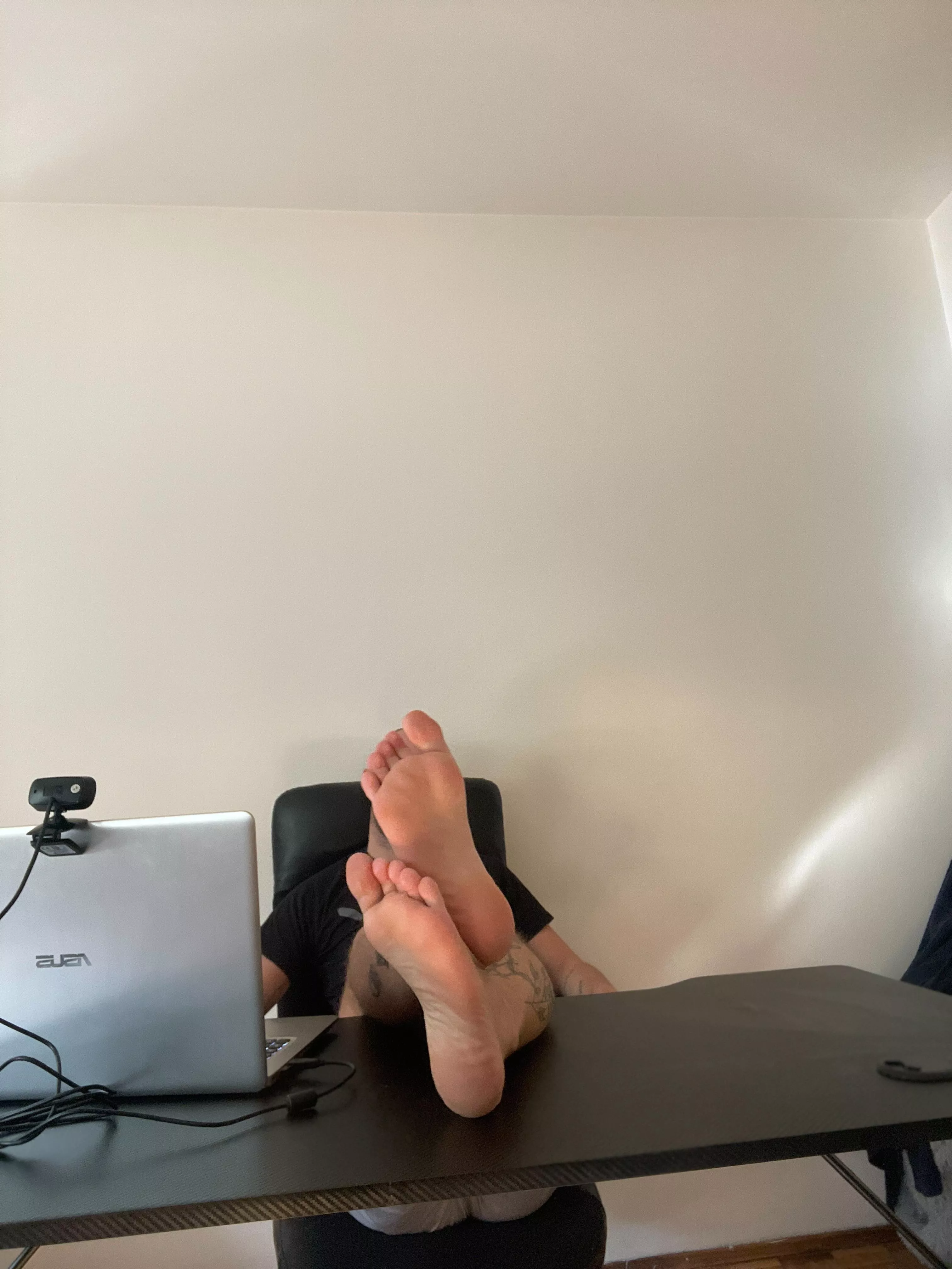 good morning yall 🐽