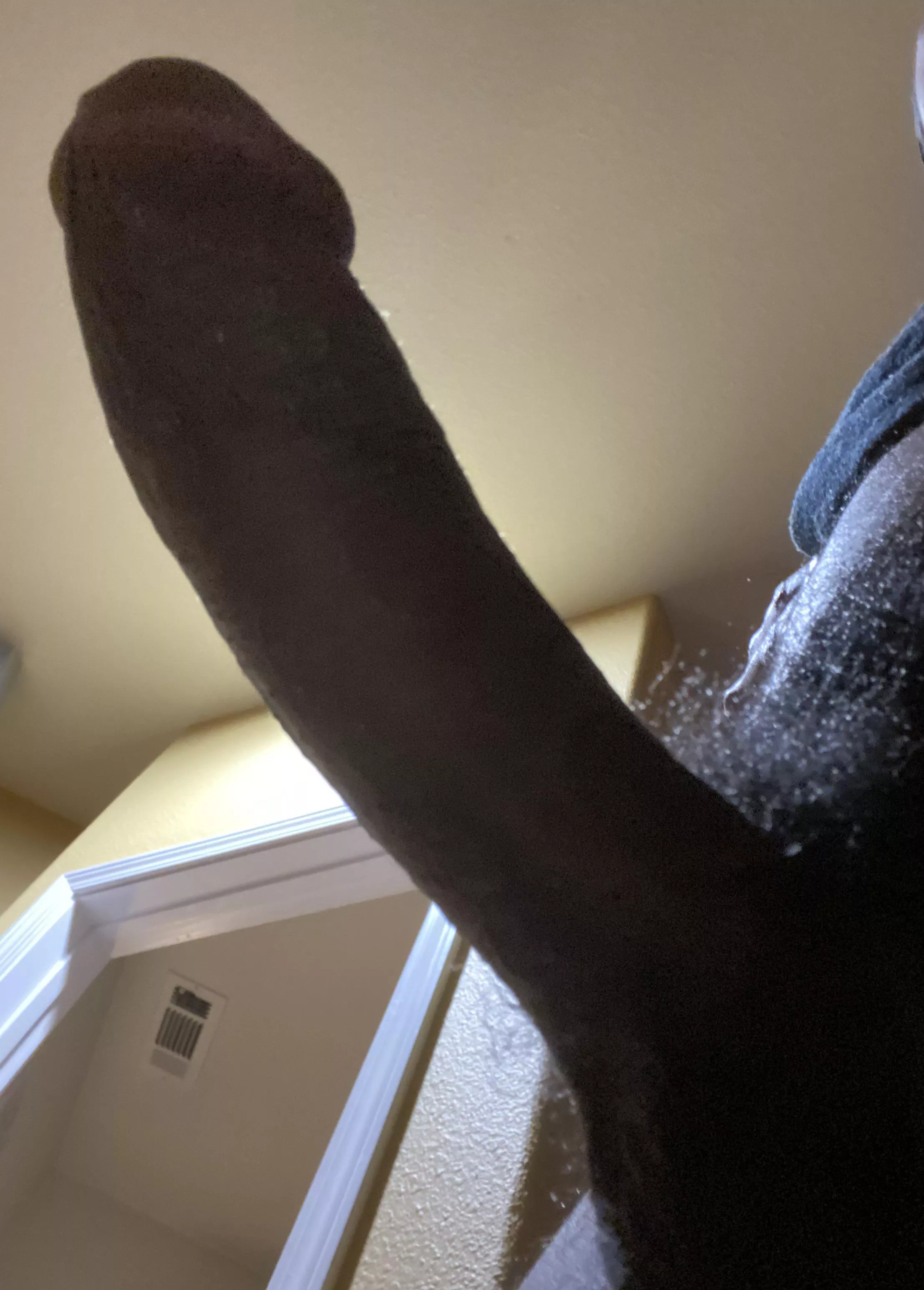 Good sissies beg to be bred.